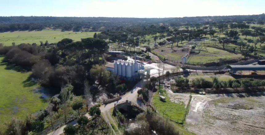 GNR realiza grande operação para acabar com descargas poluentes no Monte da Vinha