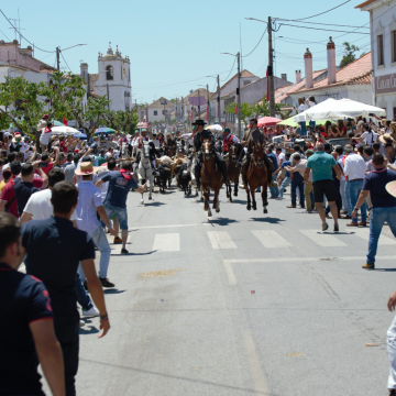 Os Quatro e Meia, Toy, Os Azeitonas entre os cabeças de cartaz da Ascensão na Chamusca