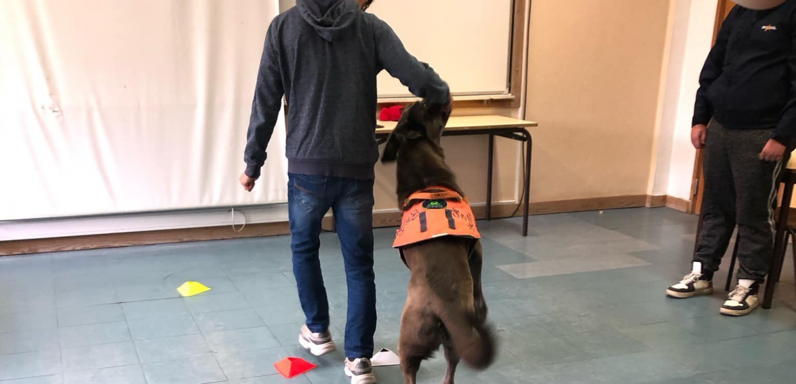 Cães terapeutas ajudam aprendizagem de alunos com necessidades especiais em Almeirim