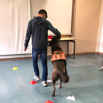 Cães terapeutas ajudam aprendizagem de alunos com necessidades especiais em Almeirim