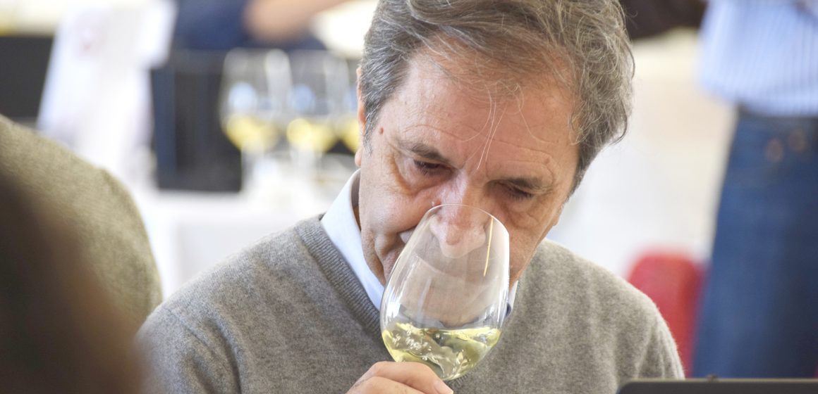 Concurso Vinhos do Tejo reuniu 220 amostras em prova. Vencedores anunciados no dia 3 de junho