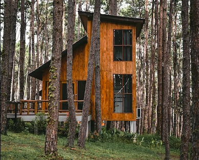 Porque é que as casas de madeira estão a tornar-se tão populares em Portugal?