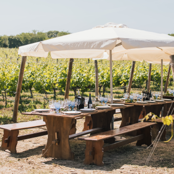 Quinta da Alorna recomenda quatro vinhos para o Verão