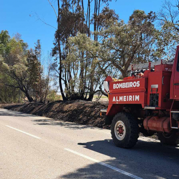 Avaria em camião provoca incêndio florestal no Convento da Serra
