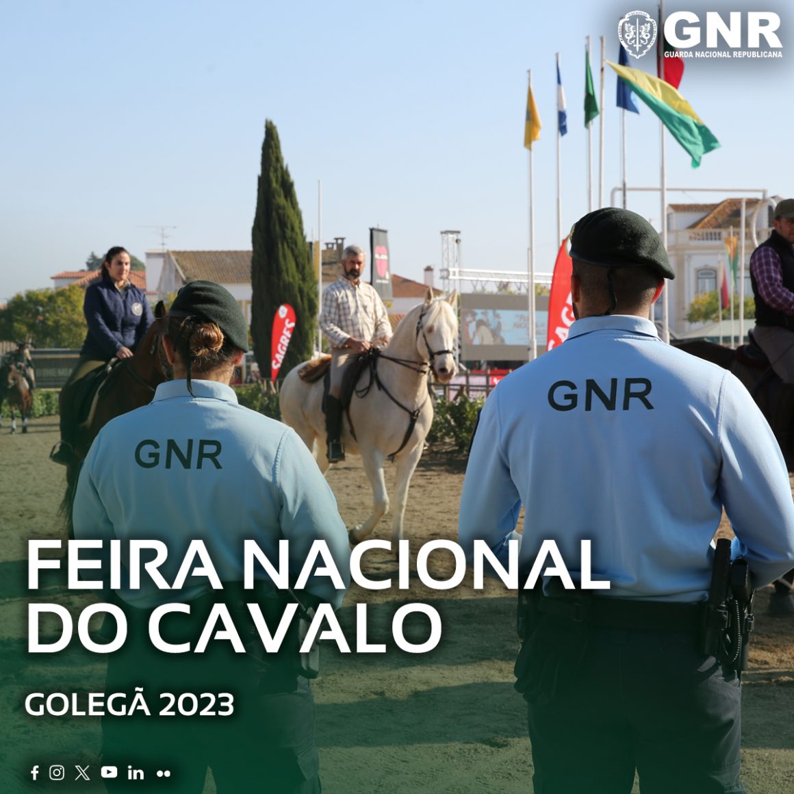 Operação Feira do Cavalo