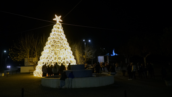 Freguesia da Raposa inaugura árvore de natal