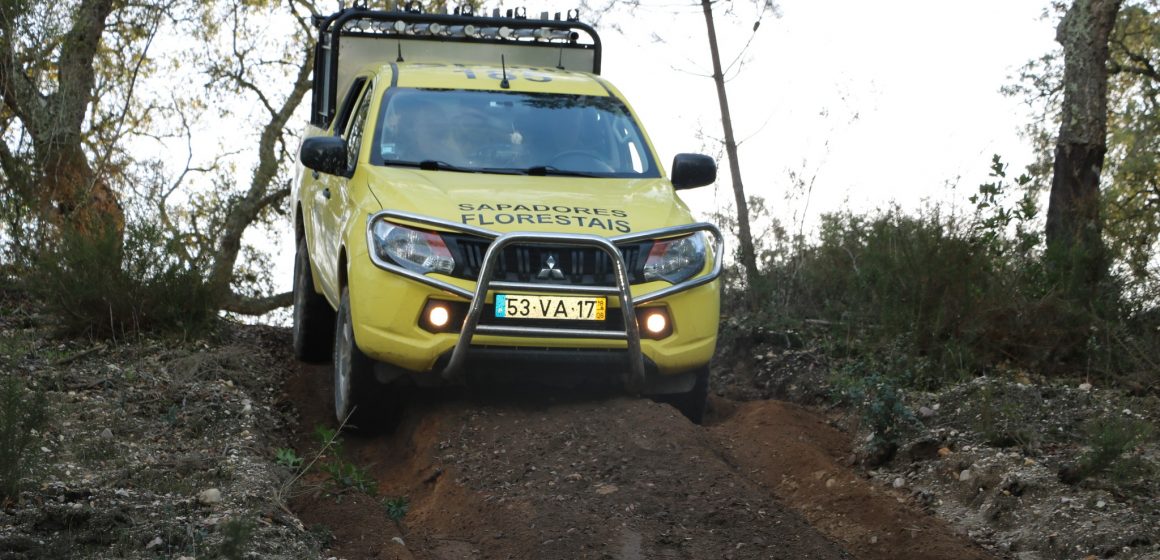 Comunidade Intermunicipal está a contratar bombeiro sapador florestal