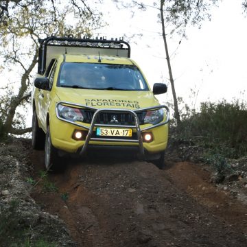 Comunidade Intermunicipal está a contratar bombeiro sapador florestal