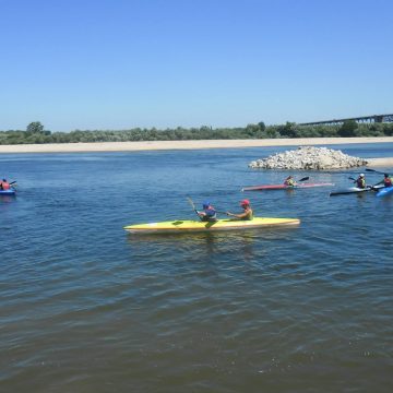 Canoagem no rio Tejo anima a região com seis etapas entre Golegã e Azambuja