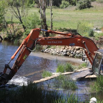 Projeto de remoção de açude no Rio Alviela ganha prémio europeu