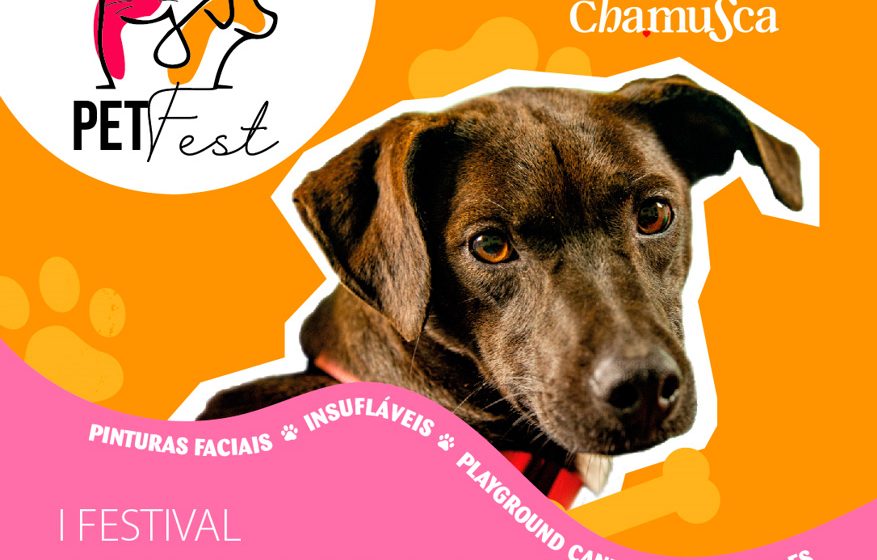 1º Festival Animal na Chamusca