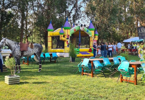 Festival Kids Alpiarça 2024: Uma grande festa para comemorar o Dia Mundial da Criança