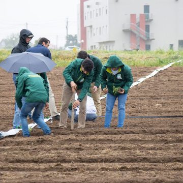 IP Santarém integra consórcio inovador na área agroalimentar