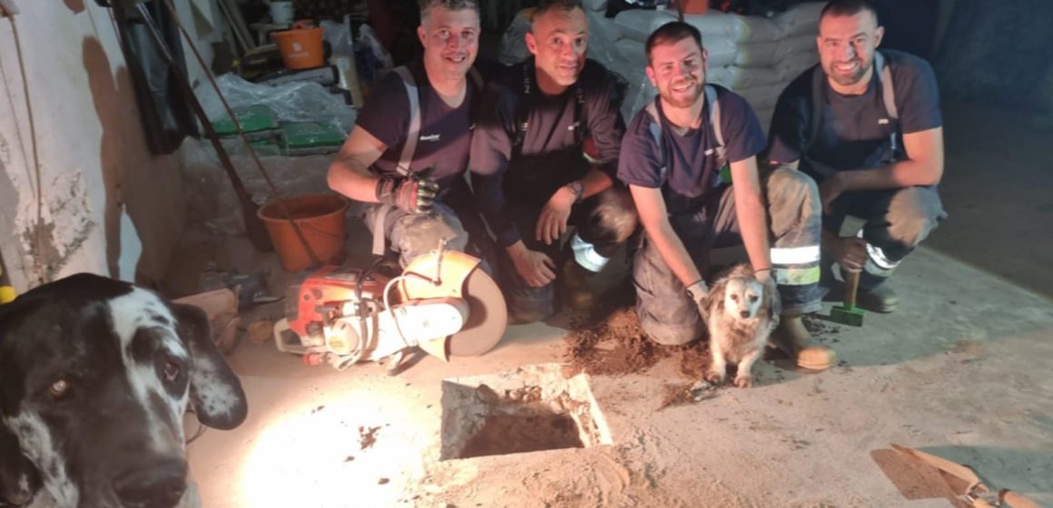 Bombeiros de Almeirim resgatam cão preso em conduta de água