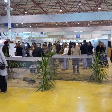 19 mil pessoas visitaram a Avisan em Santarém