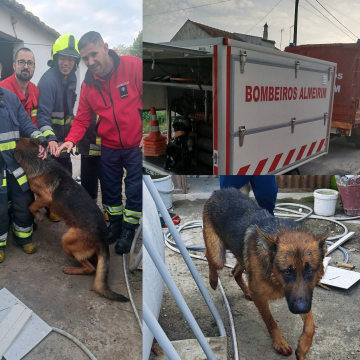 Bombeiros resgatam pastor alemão de poço em Fazendas de Almeirim