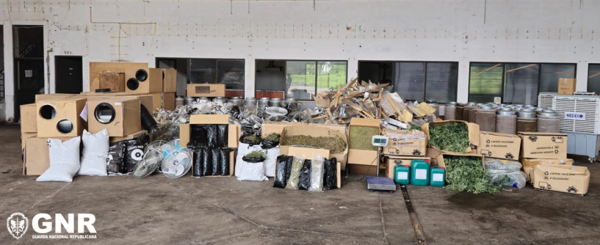 Desmantelamento de unidade industrial de produção de canábis no concelho vizinho