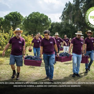 Vinhos do Tejo destacam-se com oito produtores com selo Sustainable Winegrowing Portugal