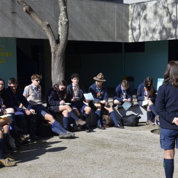 Região de Santarém reúne cerca de 200 escuteiros em Salvaterra de Magos