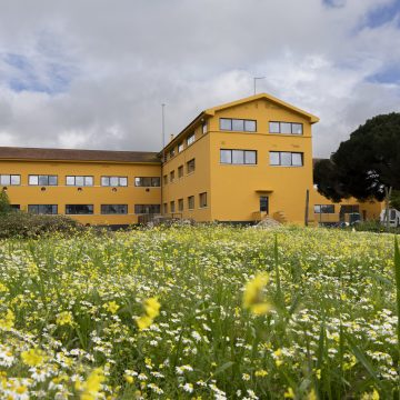 Politécnico de Santarém garante 7,6 milhões de euros para requalificar residências de estudantes