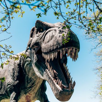 IVV recebe Expo Dinossauros nos dias 31 de maio e 1 de junho