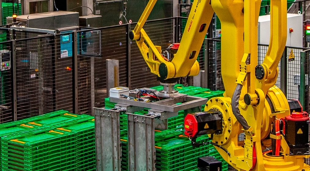 Logifruit investiu 10 milhões em Almeirim e cria 70 postos de trabalho