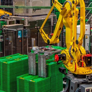 Logifruit investiu 10 milhões em Almeirim e cria 70 postos de trabalho