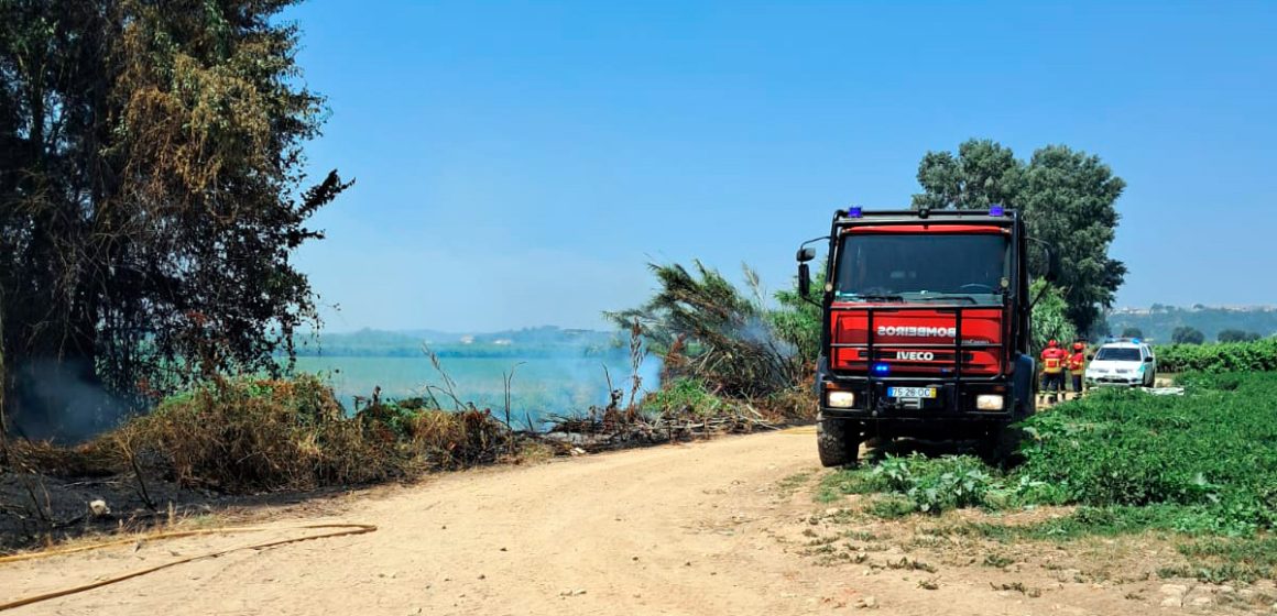 Bombeiros combatem incêndio junto à EN 114 em Almeirim