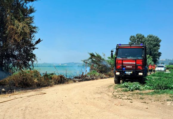 Bombeiros combatem incêndio junto à EN 114 em Almeirim