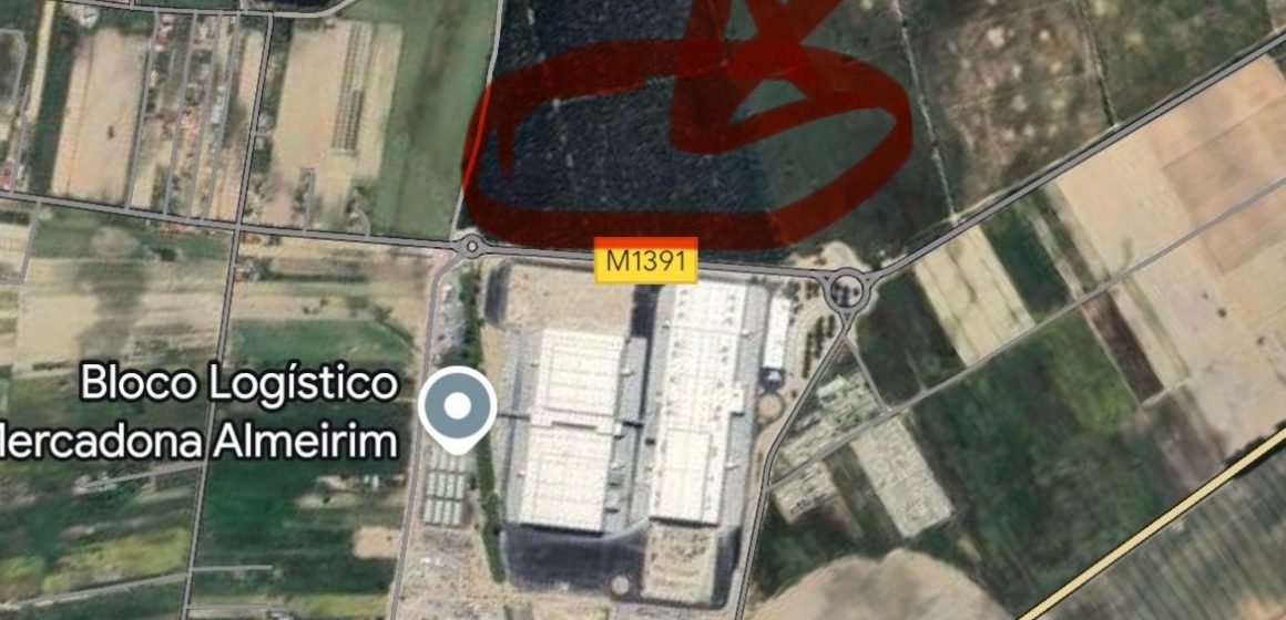 Multinacional no sector industrial instala-se em Almeirim