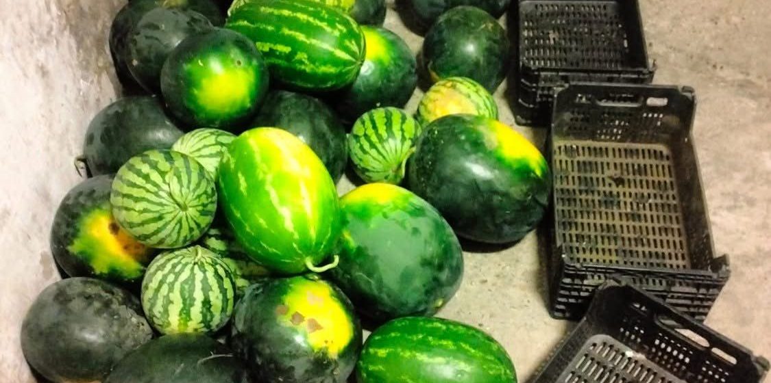 Seis detidos por furto de uma tonelada de produtos agrícolas