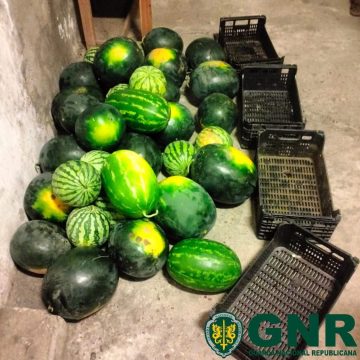 Seis detidos por furto de uma tonelada de produtos agrícolas