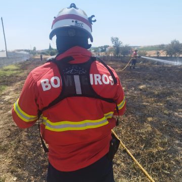 Trabalho com rebarbadora causa incêndio em Fazendas de Almeirim