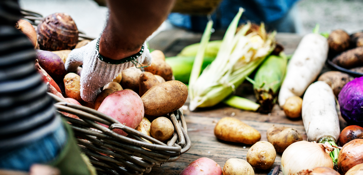 Encontro internacional de negócios do setor alimentar em Santarém