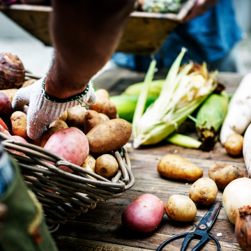 Encontro internacional de negócios do setor alimentar em Santarém