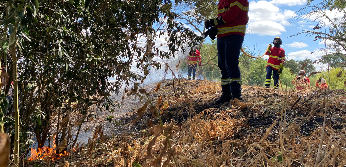 Incêndios: Governo renova situação de alerta até dia 13