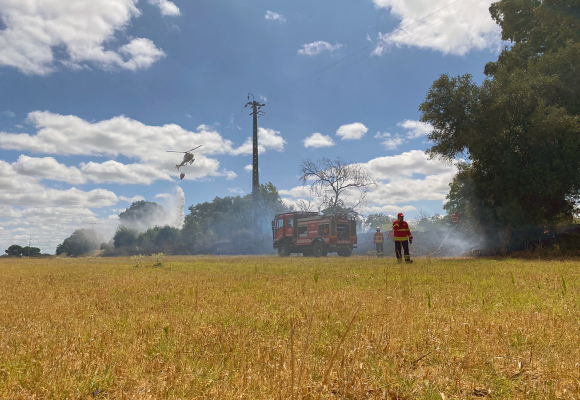 Incêndio mobiliza mais de três dezenas de operacionais perto da Tapada