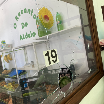 Tiros de regresso à Tapada (c/fotos)