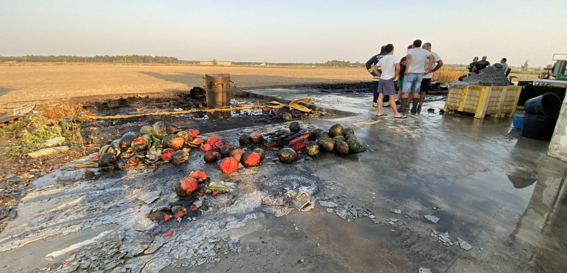 Incêndio em armazém agrícola faz um ferido grave em Alpiarça