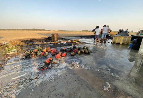 Incêndio em armazém agrícola faz um ferido grave em Alpiarça