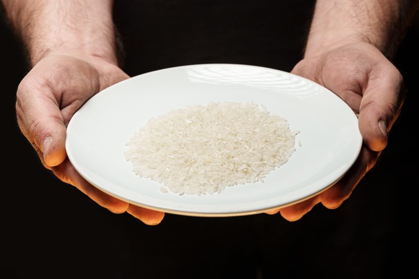 O arroz serve-se à mesa de 5 a 7 de setembro em Ulme