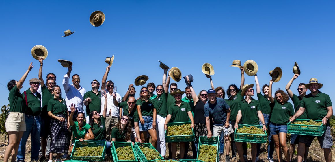 Região dos Vinhos do Tejo tem sete programas de vindima entre agosto e setembro