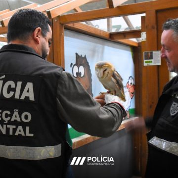 PSP lança Operação Planeta Azul para proteção do ambiente e biodiversidade
