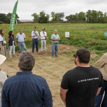 Agroglobal testa rega gota-a-gota na Quinta da Alorna e mostra futuro promissor para o arroz