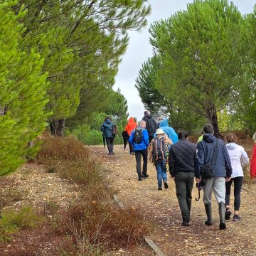 Passeio da Biodiversidade deu a conhecer o Paul da Gouxa em Alpiarça