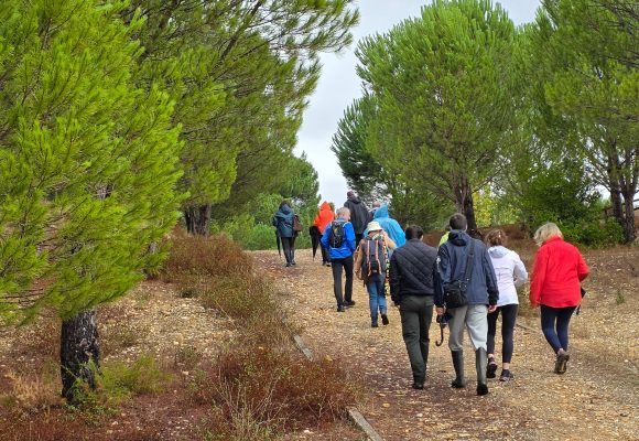 Passeio da Biodiversidade deu a conhecer o Paul da Gouxa em Alpiarça