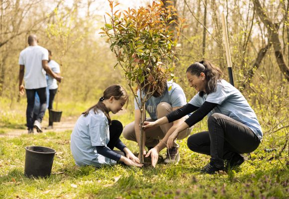 Ambiente: Há bons exemplos… Há boas práticas