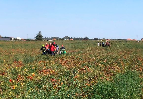 Trabalhador ferido após atropelamento por trator agrícola na Azeitada