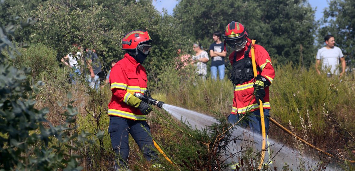 Quatro dezenas de operacionais combatem incêndio em eucaliptal em Alpiarça