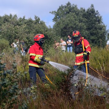 Quatro dezenas de operacionais combatem incêndio em eucaliptal em Alpiarça